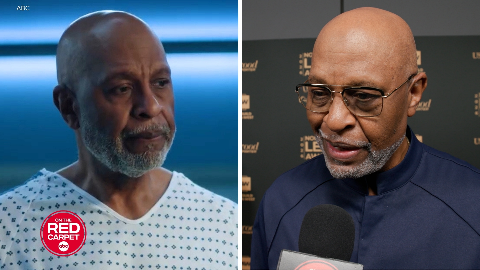 How 'Grey's Anatomy' star James Pickens Jr. inspired award-winning episodes
— ABC7 Chicago (WLS-TV)