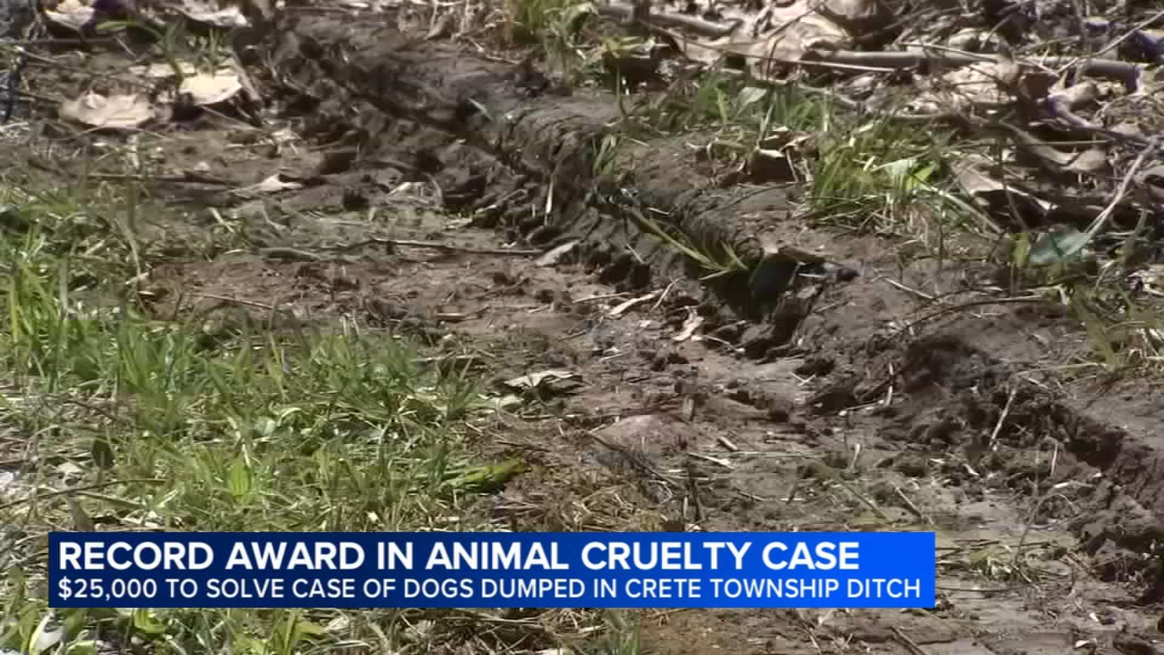 $25K reward now offered for information after 6 dead dogs found dumped in Crete Township
— Oak Park Community news